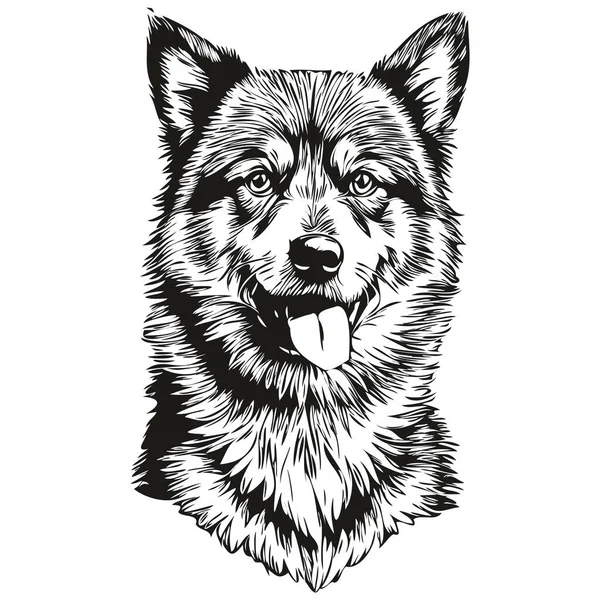 Finský Lapphund Pes Linie Ilustrace Černá Bílá Inkoust Skica Tvář — Stockový vektor