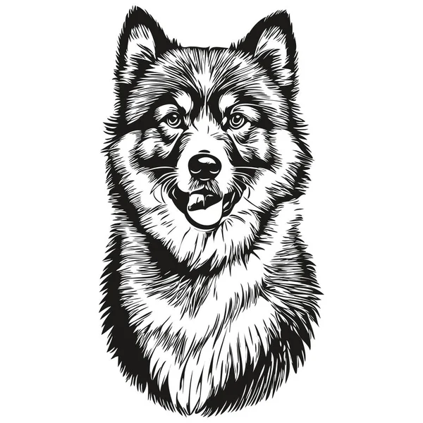 Finnische Lapphund Hundelinie Illustration Schwarz Weiß Tuschskizze Gesicht Porträt Vektor — Stockvektor
