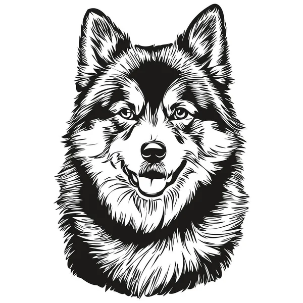 Fiński Lapphund Pies Logo Wektor Czarno Biały Vintage Ładny Pies — Wektor stockowy