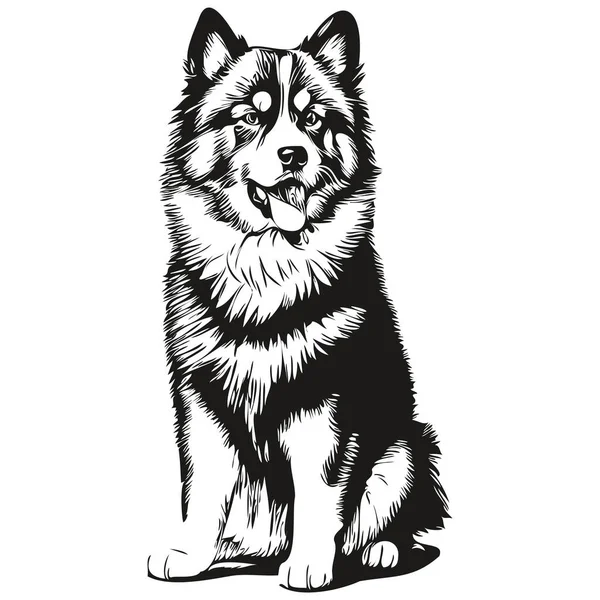 Черно Белый Вектор Логотипа Финской Собаки Lapphund Винтажный Миленький Рисунок — стоковый вектор