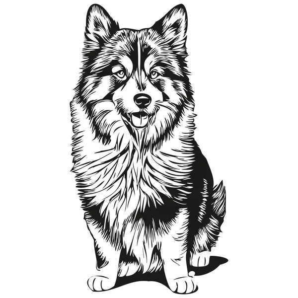Lapphund Finlandês Cão Esboço Lápis Desenho Arte Personagem Preto Fundo — Vetor de Stock