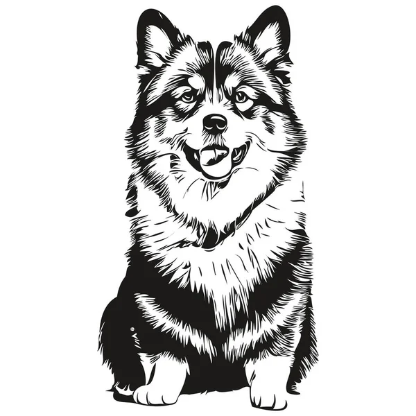 芬兰Lapphund狗铅笔手绘矢量 图解宠物脸标识黑白相间 — 图库矢量图片