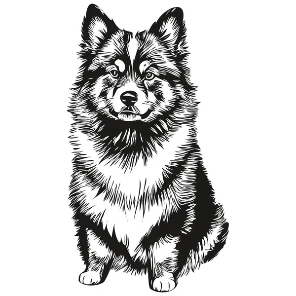 Lapphund Finlandês Cão Esboço Lápis Desenho Arte Personagem Preto Fundo —  Vetores de Stock