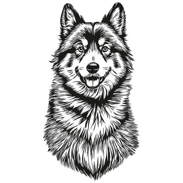 Finnischer Lapphund Hund Logo Vektor Schwarz Weiß Vintage Niedlicher Hundekopf — Stockvektor