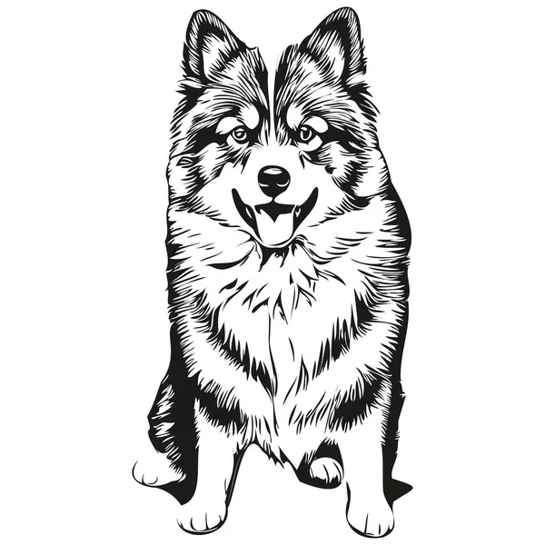 Finska Lapphund Hund Kontur Penna Teckning Konstverk Svart Karaktär Vit — Stock vektor