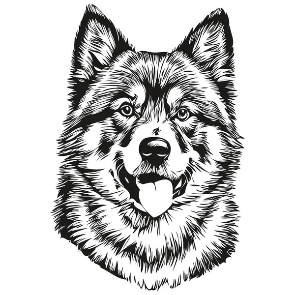 Finse Lapphund Hond Huisdier Schets Illustratie Zwart Wit Graveren Vector — Stockvector