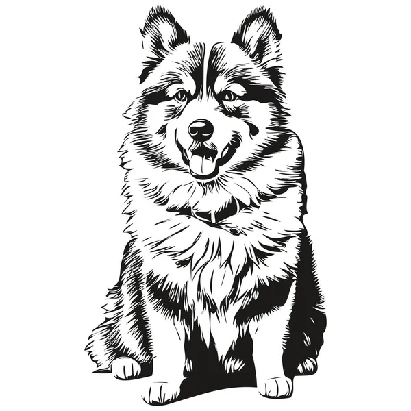 Retrato Cão Lapphund Finlandês Vetor Desenho Mão Animal Para Tatuagem — Vetor de Stock