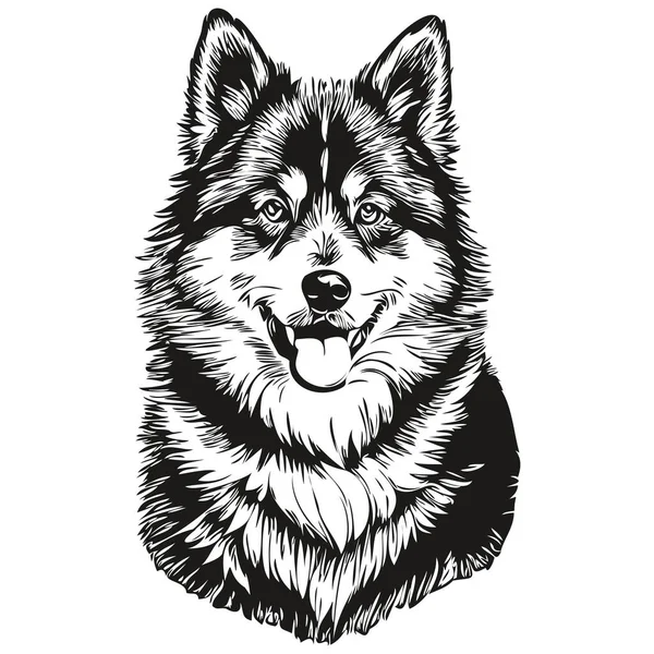芬兰Lapphund狗的人物形象 剪贴画艺术载体宠物画黑白逼真品种宠物 — 图库矢量图片