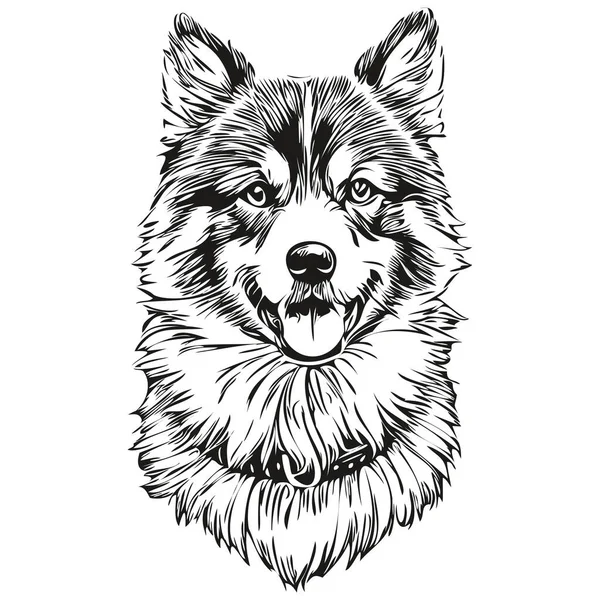 Силуэт Лапландской Собаки Рисунок Линии Животного Черно Белый Вектор — стоковый вектор