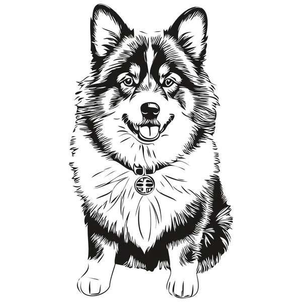 Finlandés Lapphund Perro Silueta Mascota Carácter Clip Arte Vector Mascotas — Archivo Imágenes Vectoriales