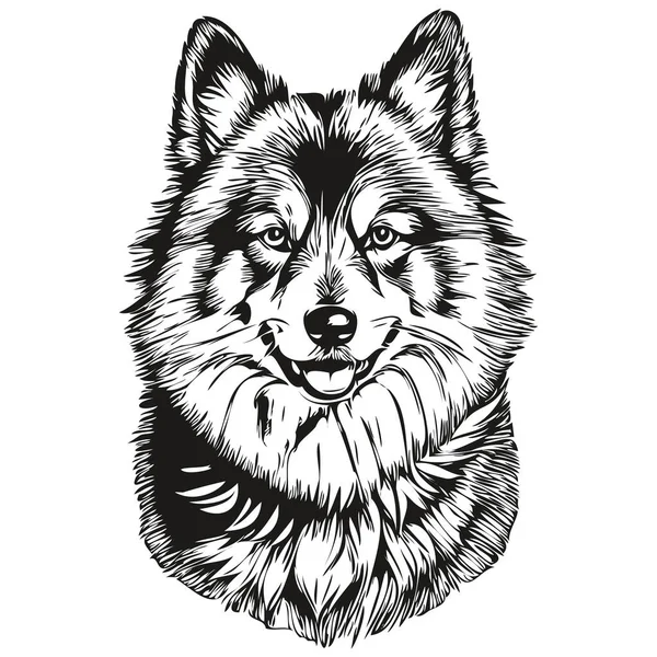 Finska Lapphund Hund Realistisk Sällskapsdjur Illustration Handritning Ansikte Svart Och — Stock vektor
