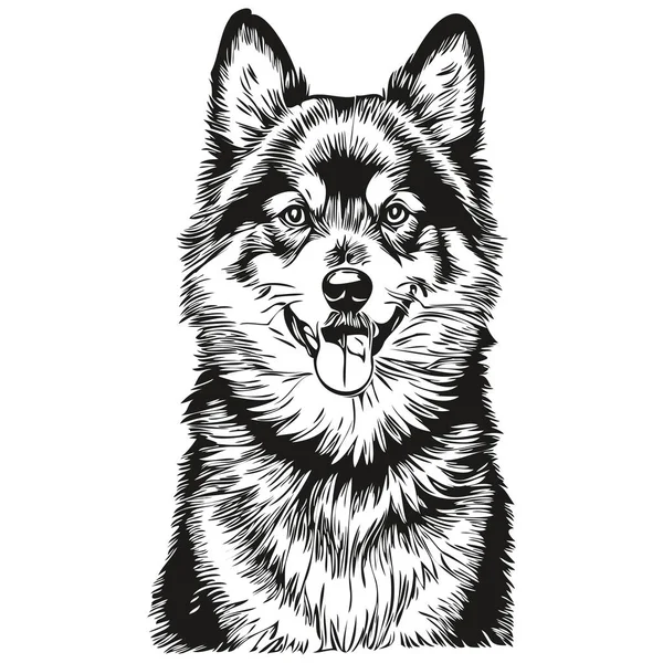 Desenho Lápis Realista Cão Lapphund Finlandês Vetor Ilustração Arte Linha —  Vetores de Stock
