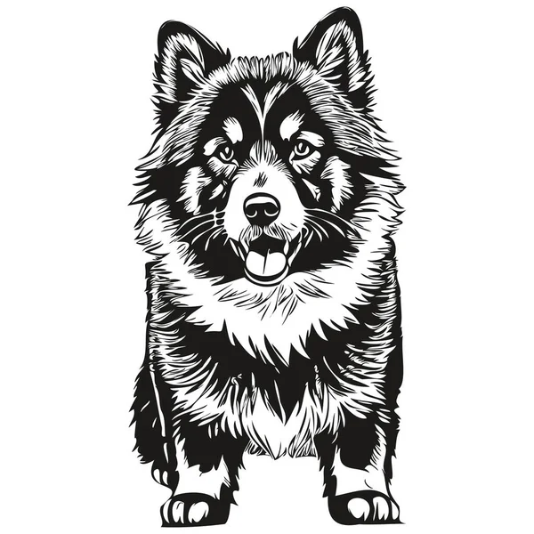 芬兰拉菲狗T恤印着黑白照片 可爱滑稽的轮廓画图矢量逼真的品种宠物 — 图库矢量图片