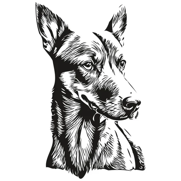 Niemiecki Pinscher Pies Rasa Linia Rysunek Klip Sztuka Zwierząt Ręka — Wektor stockowy