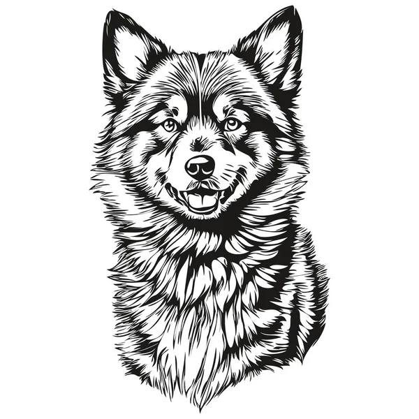 Gráficos Vectoriales Para Perros Lapphund Finlandeses Ilustración Línea Animal Dibujada — Archivo Imágenes Vectoriales