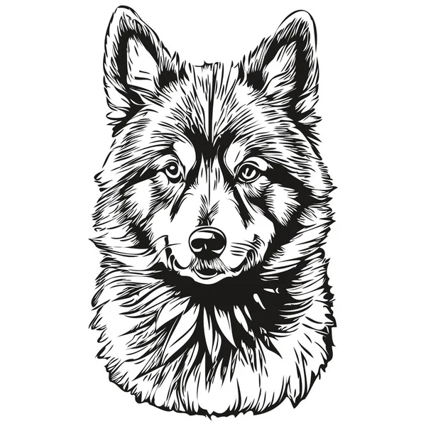 Graphiques Vectoriels Chien Finlandais Lapphund Dessin Main Crayon Animal Ligne — Image vectorielle