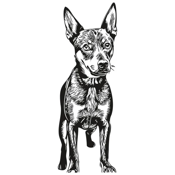 Alemão Pinscher Cão Mão Desenhada Logotipo Desenho Preto Branco Linha — Vetor de Stock