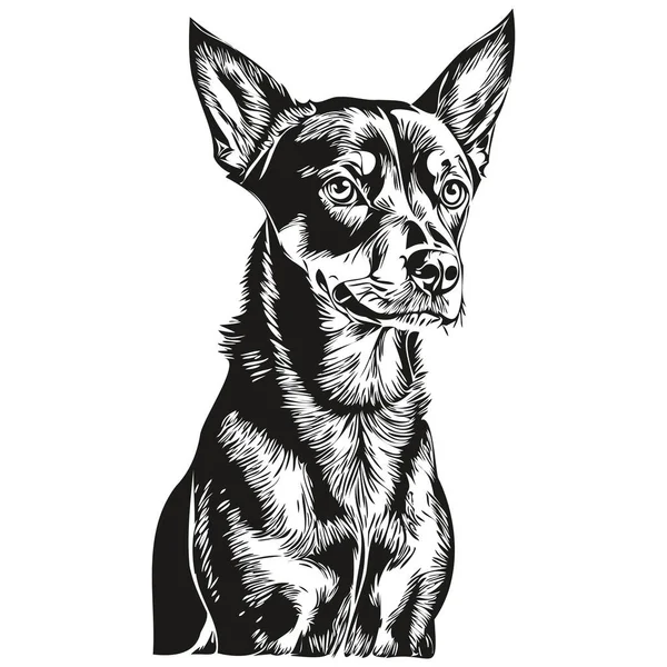 German Pinscher Dog Line Illustration Black White Ink Sketch Face — 스톡 벡터