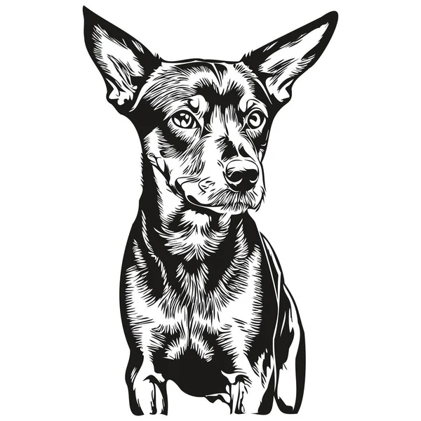 Alman Pinscher Köpek Logosu Siyah Beyaz Klasik Köpek Kafası Oymalı — Stok Vektör