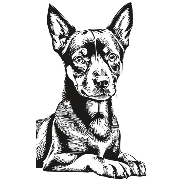 Tyska Pinscher Hund Husdjur Silhuett Djur Linje Illustration Handritad Svart — Stock vektor
