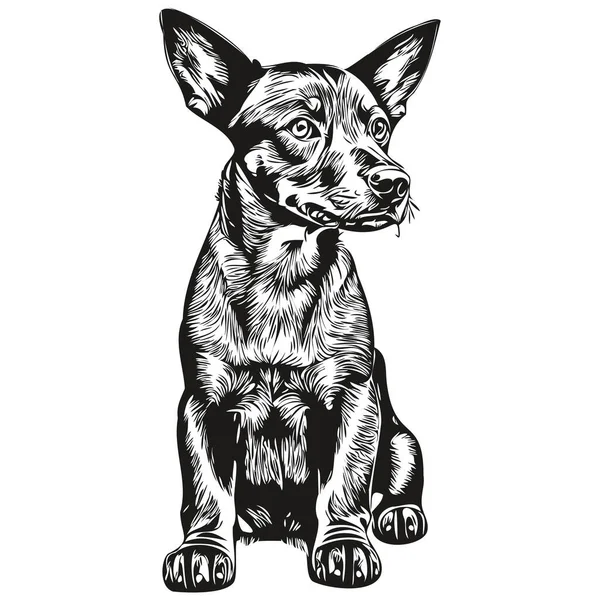 Tedesco Pinscher Cane Pet Silhouette Animale Linea Illustrazione Disegnato Mano — Vettoriale Stock