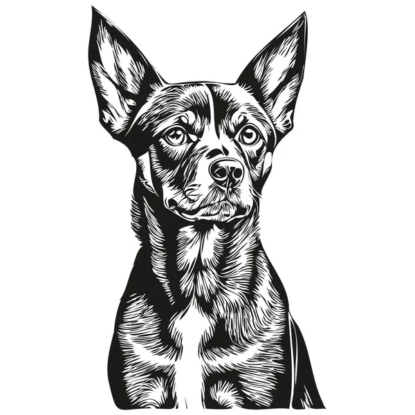 Potret Anjing Jerman Pinscher Vektor Gambar Tangan Hewan Untuk Tato - Stok Vektor
