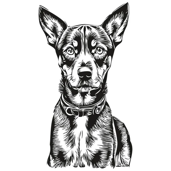 German Pinscher Dog Silhouette Pet Character Clip Art Vector Pets — Stock Vector