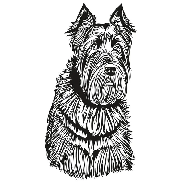 大型施瑙策犬种画线 剪贴画动物手绘矢量黑白逼真犬种宠物 — 图库矢量图片