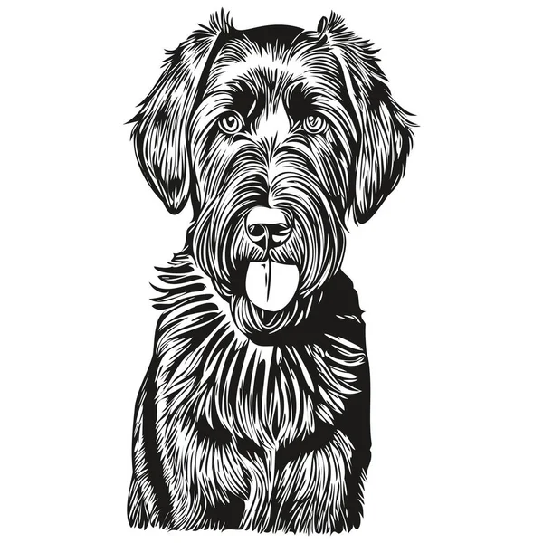 巨大なシュノーザー犬の黒い図面ベクトル 孤立した顔の絵線のイラスト — ストックベクタ