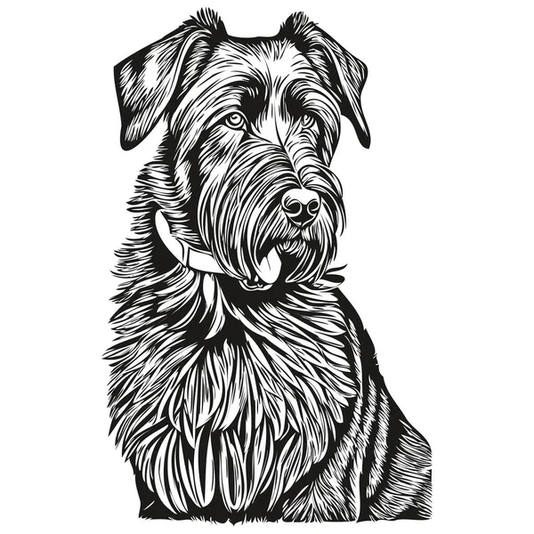 Giant Schnauzer Cão Raça Linha Desenho Clip Arte Animal Mão —  Vetores de Stock