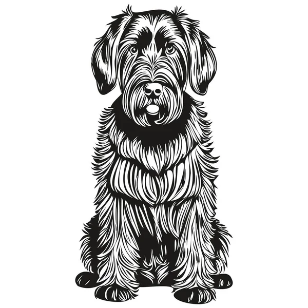 Giant Schnauzer Hund Tecknad Ansikte Bläck Porträtt Svart Och Vitt — Stock vektor