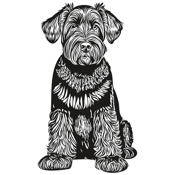 Giant Schnauzer Hund Ansikte Vektor Porträtt Rolig Kontur Husdjur Illustration — Stock vektor