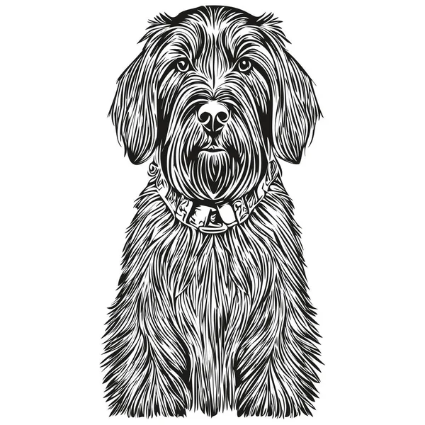 大型施瑙策犬手绘标识 画上黑白线条的艺术宠物图解逼真的品种宠物 — 图库矢量图片