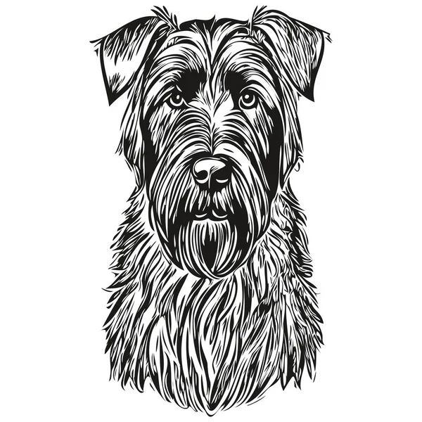 Riesenschnauzer Hund Graviert Vektor Porträt Gesicht Cartoon Vintage Zeichnung Schwarz — Stockvektor