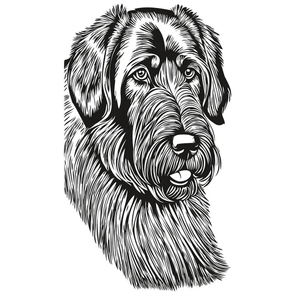 Giant Schnauzer Hond Hand Getekend Logo Tekening Zwart Wit Lijn — Stockvector