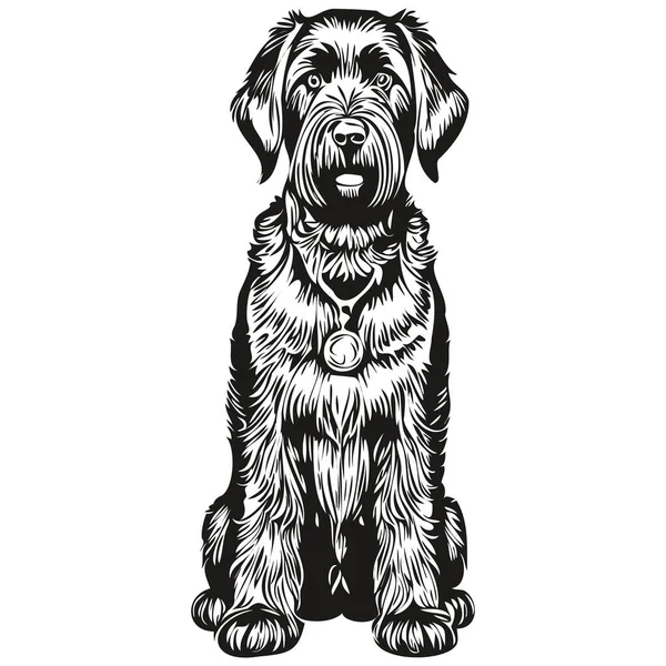 Giant Schnauzer Dog Line Illustration Black White Ink Sketch Face — Stock Vector