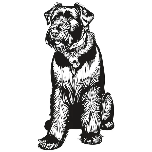 Giant Schnauzer Hund Logotyp Vektor Svart Och Vitt Vintage Söt — Stock vektor
