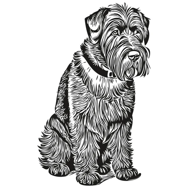 Гігантський Логотип Собаки Schnauzer Вектор Чорно Білий Вінтажний Милий Собача — стоковий вектор