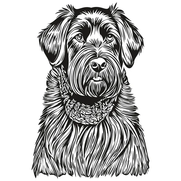 Giant Schnauzer Cão Lápis Mão Desenho Vetor Esboço Ilustração Pet —  Vetores de Stock