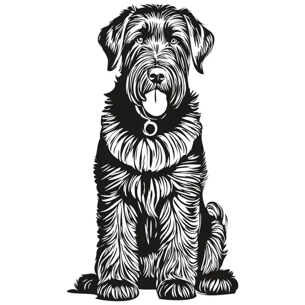 Giant Schnauzer Pes Pet Silueta Zvíře Linie Ilustrace Ručně Kreslené — Stockový vektor