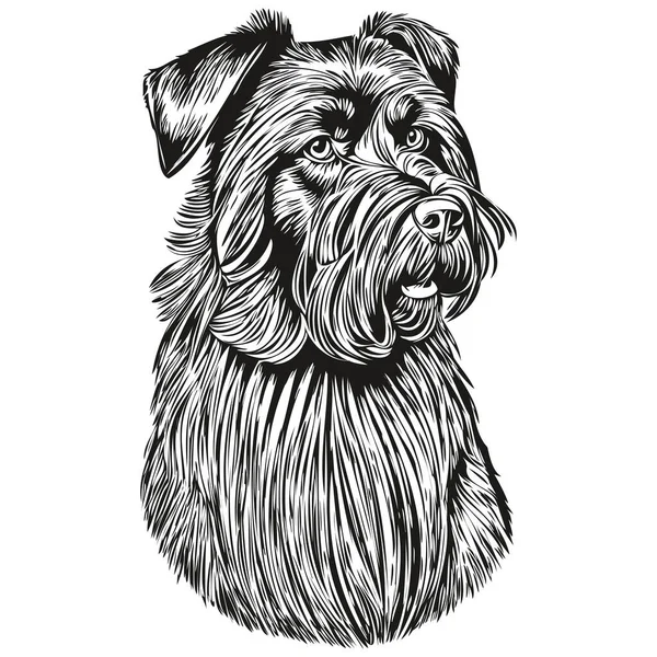 ジャイアントシュノーザー犬ペットのシルエット 動物のラインイラストの手が黒と白のベクトルを描いた — ストックベクタ