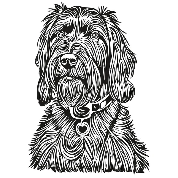 Giant Schnauzer Hund Husdjur Skiss Illustration Svart Och Vitt Gravyr — Stock vektor