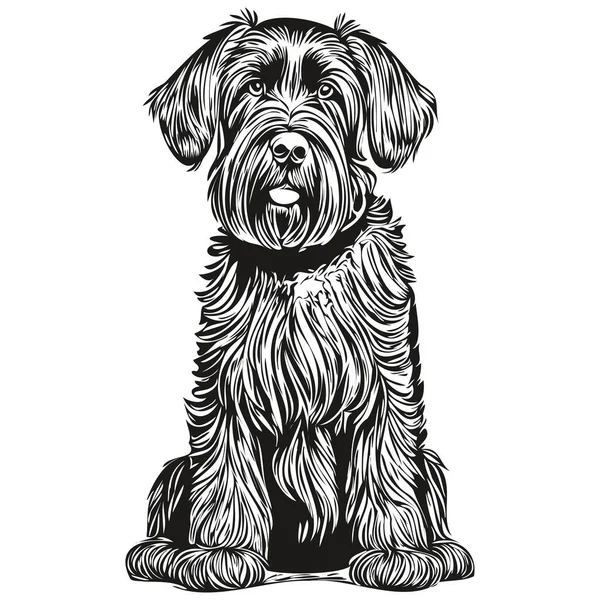 Giant Schnauzer Pes Pet Skica Ilustrace Černobílé Rytí Vektor — Stockový vektor