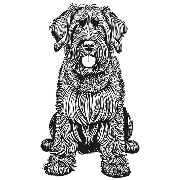 巨大なシュノーザー犬現実的なペットのイラスト 手描きの顔黒と白のベクトル — ストックベクタ