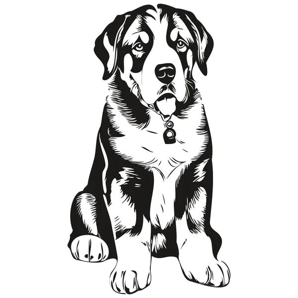 大瑞士山区犬种画线 剪贴画动物手绘矢量黑白 — 图库矢量图片