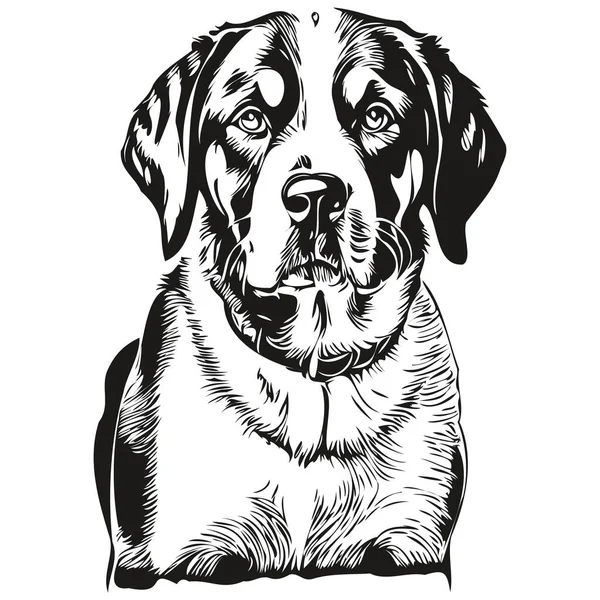 より大きなスイスの山犬の漫画の顔インクの肖像画 黒と白のスケッチの描画 Tシャツのプリント — ストックベクタ