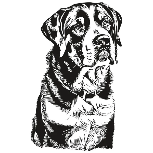 Greater Swiss Mountain Dog Black Drawing Vector Isolated Face Painting — Stock Vector