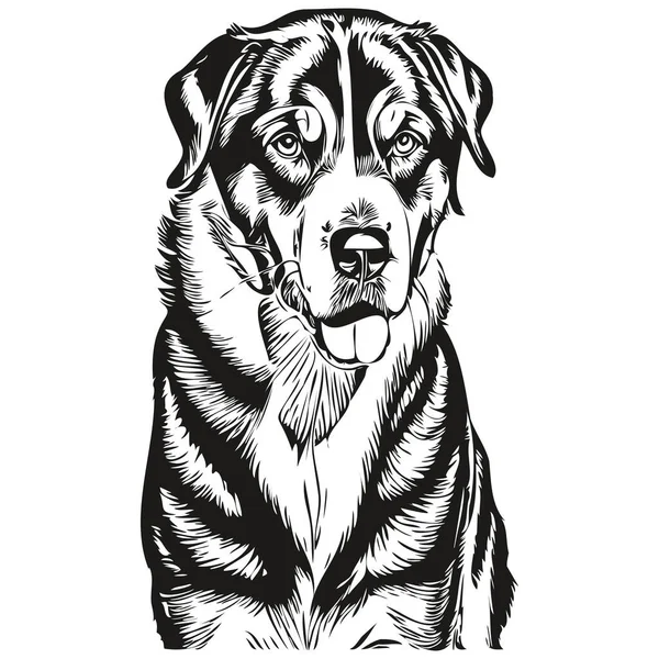 Grande Suíço Cão Montanha Desenhos Animados Retrato Tinta Facial Desenho —  Vetores de Stock