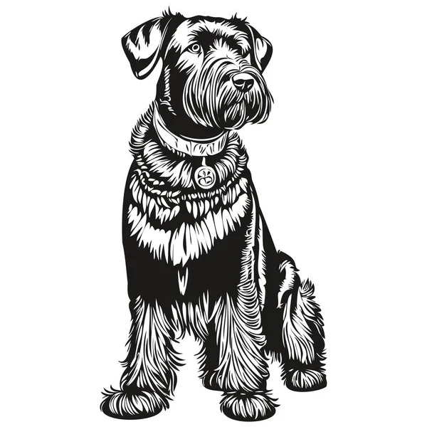 Gráficos Vetor Cão Schnauzer Gigante Ilustração Desenhada Mão Linha Animal —  Vetores de Stock