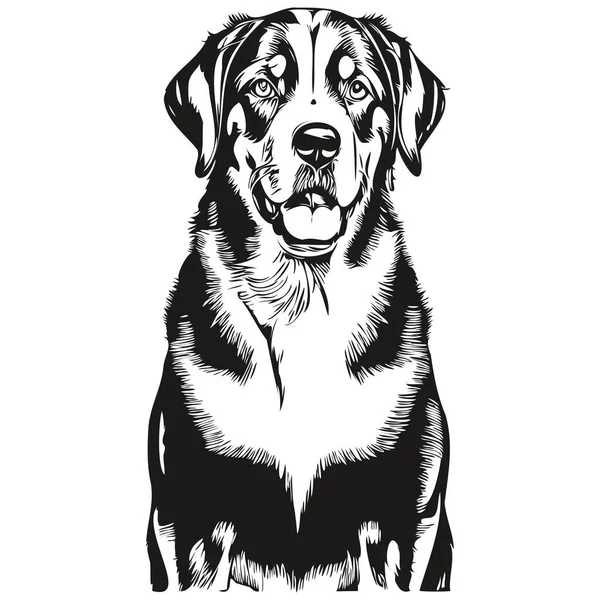 Greater Swiss Mountain Cão Raça Linha Desenho Clip Arte Animal — Vetor de Stock